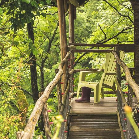 Terragora Lodges - Hebergement Atypique Les Épesses Екстериор снимка