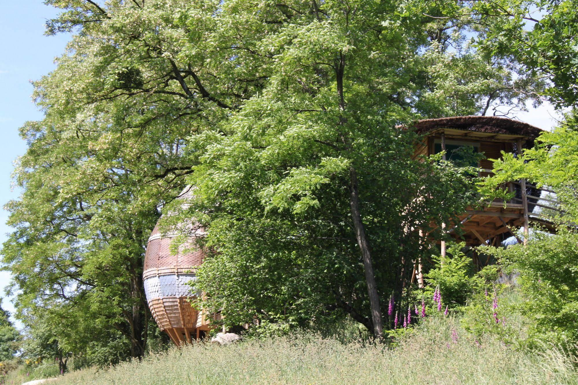 Terragora Lodges - Hebergement Atypique Les Épesses Екстериор снимка