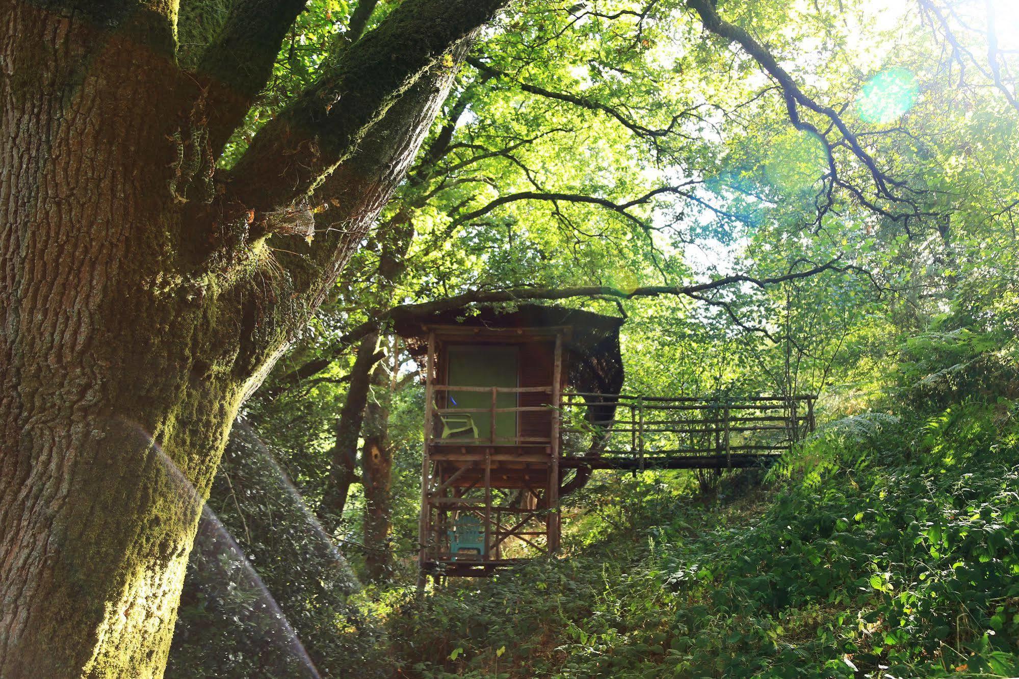 Terragora Lodges - Hebergement Atypique Les Épesses Екстериор снимка